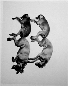 Image description is not available for 2001.060